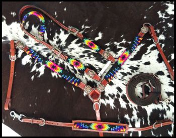 Showman  Beaded Bright Color Southwest 4 Piece Headstall and Breast collar Set #2